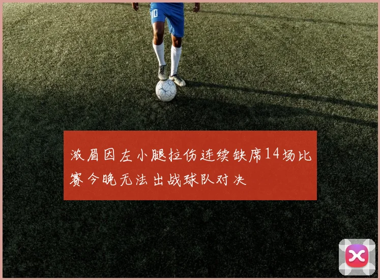 浓眉因左小腿拉伤连续缺席14场比赛今晚无法出战球队对决